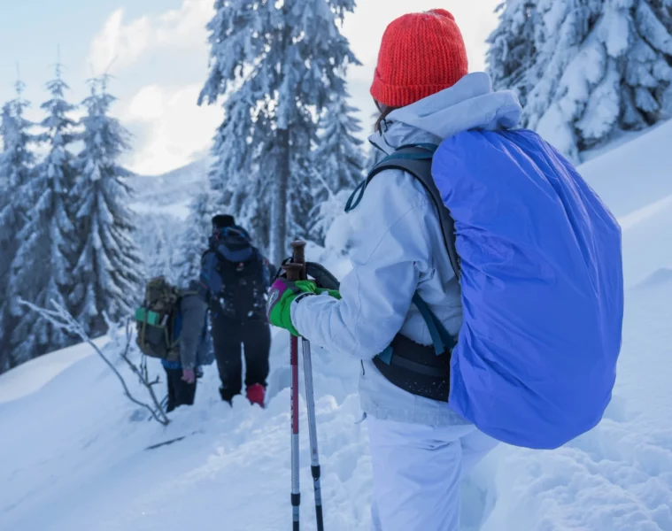 Chamonix snowshoes experience