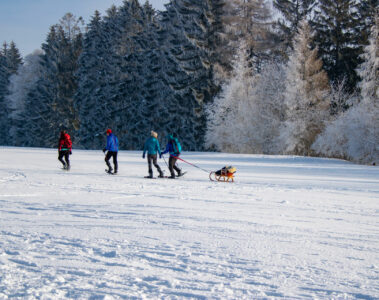 Snowshoes