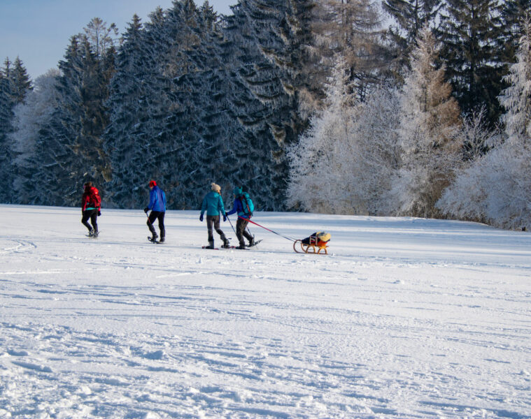 Snowshoes