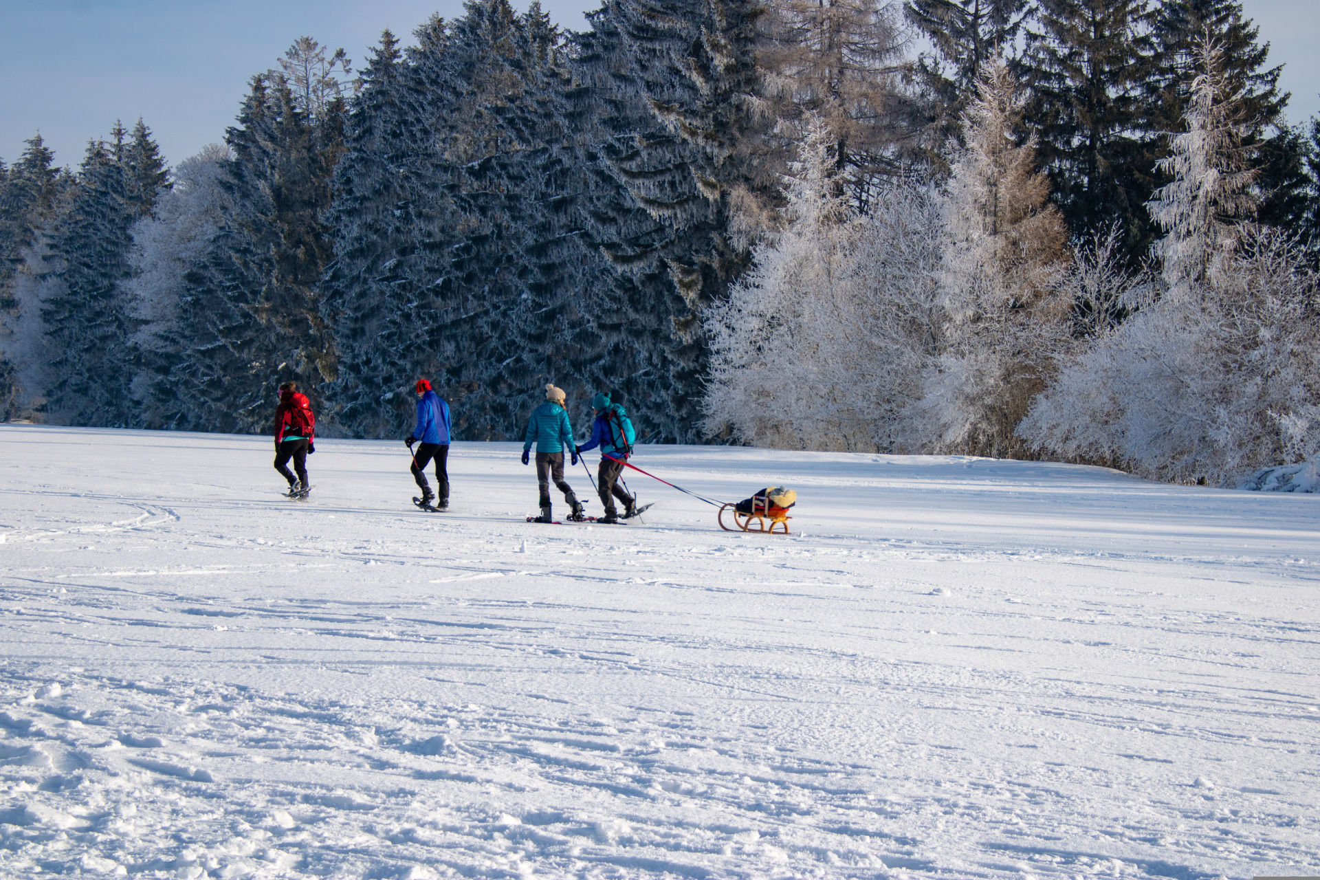 Snowshoes