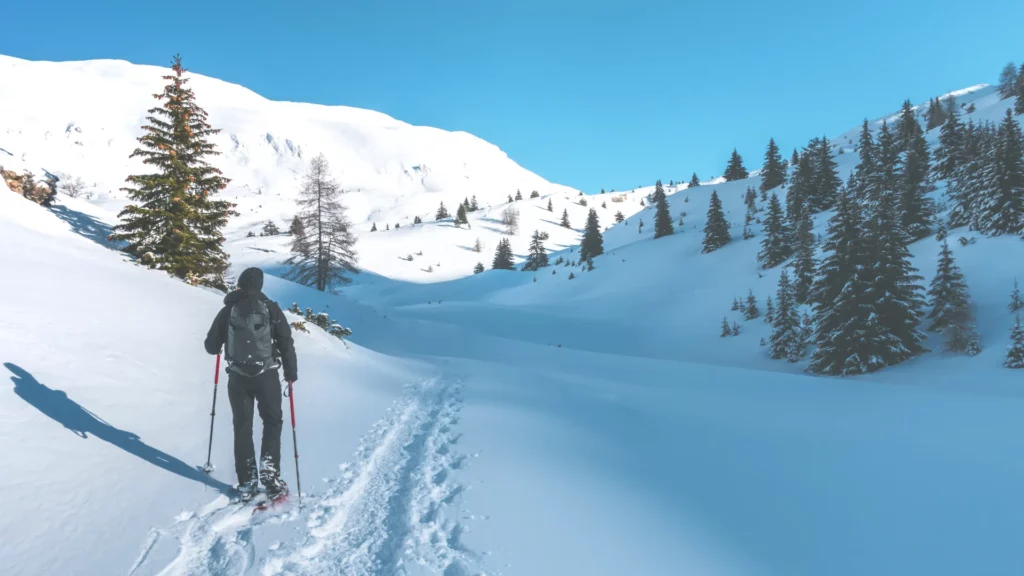 Aosta Valley snowshoes with a guide