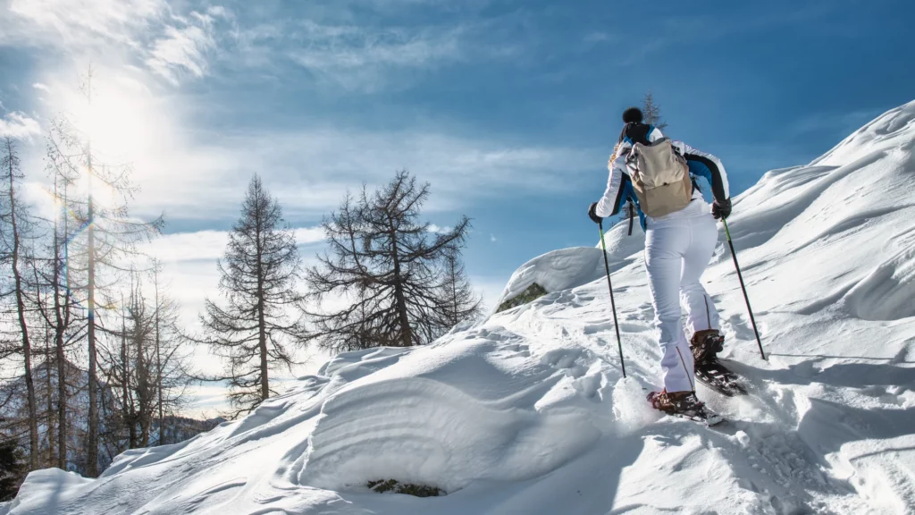 Chamonix snowshoes with a guide