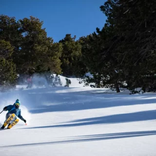 Skier descending powder slopes in the Aosta Valley backcountry