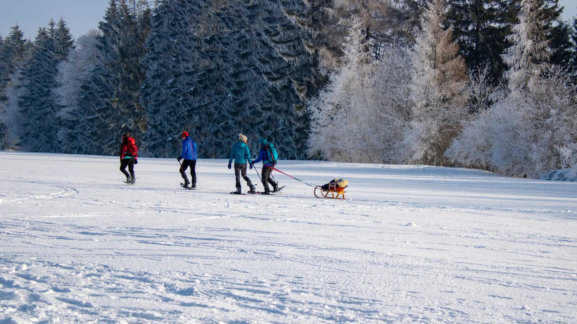 Snowshoe hikers exploring quiet alpine trails in the Aosta Valley