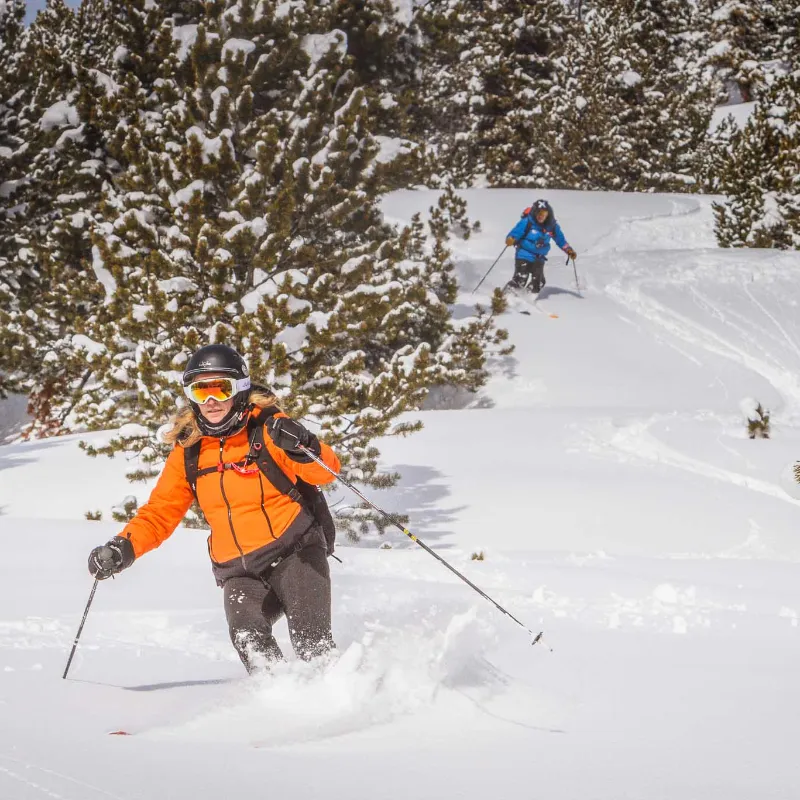 Heliskiers preparing for a powder descent in the high mountains