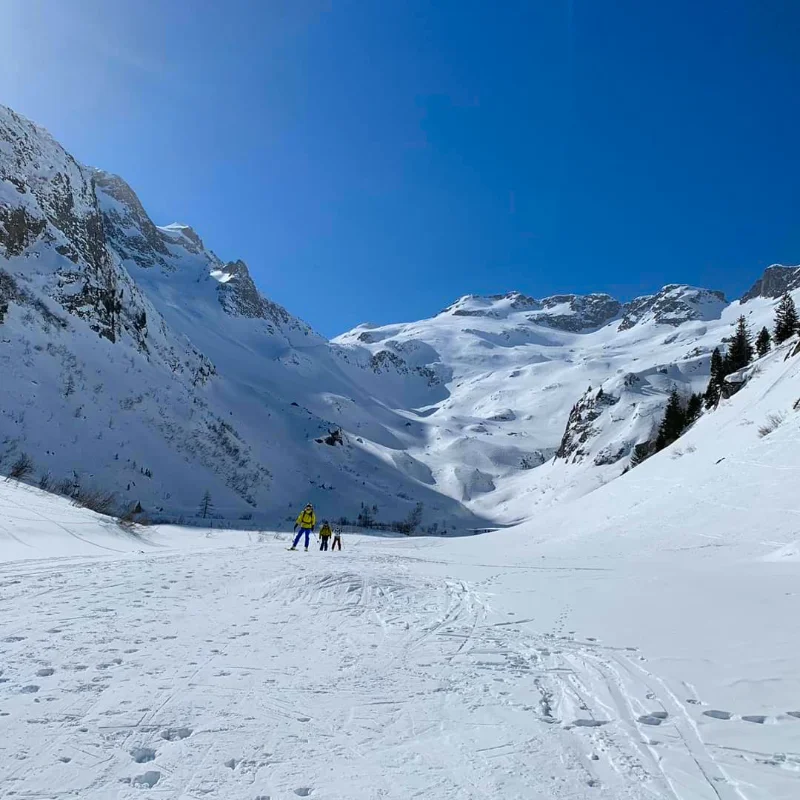 Guests exploring Chamonix’s iconic landscapes on a guided day tour