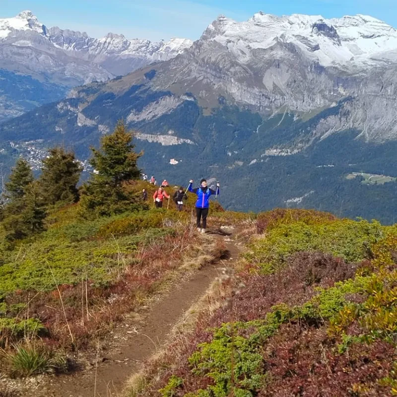 Guided alpine day trip in the Chamonix valley
