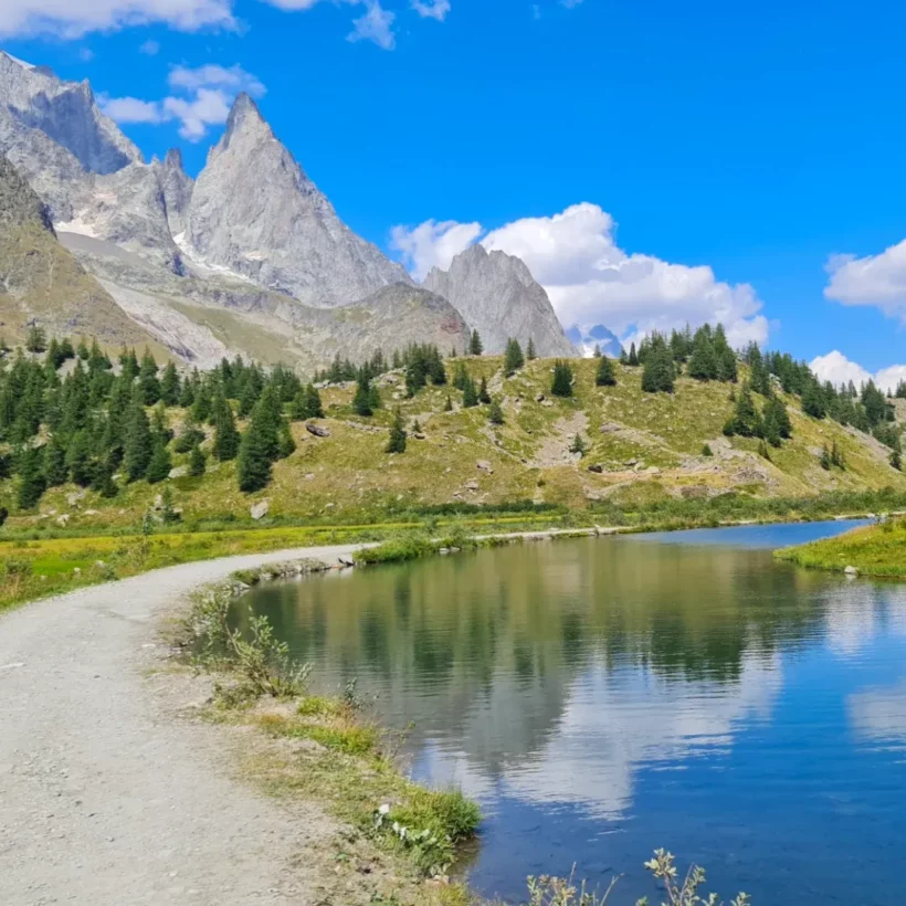 Guided trekking group walking through alpine meadows on the Tour du Mont Blanc